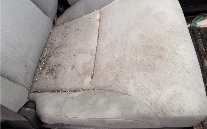 Before interior detailing — Cloth seat — stain extraction