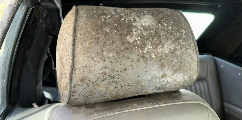 Before interior detailing — Mold remediation — headrest fully restored